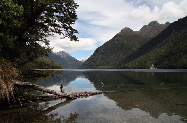 Sur la route de Milford Sound