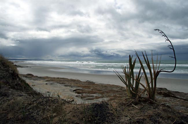 Catlins