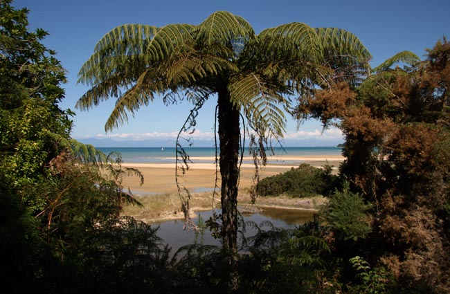 Abel Tasman Park