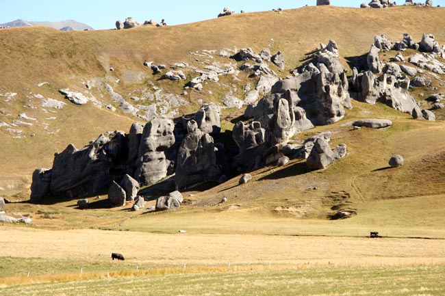 Castle Hill