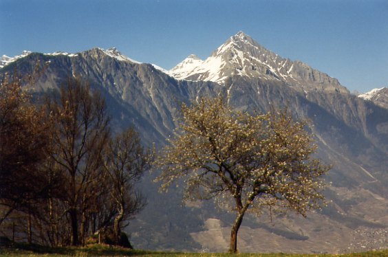 Le Chavalard (Fully)